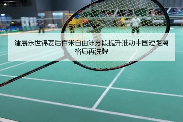 潘展乐世锦赛后百米自由泳分段提升推动中国短距离格局再洗牌